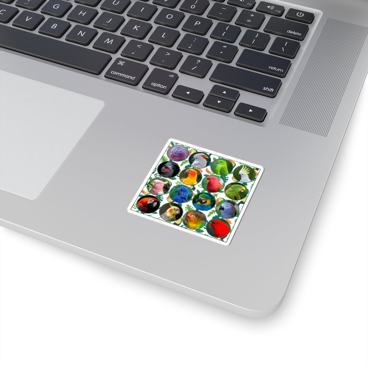 Vibrant Parrot Kiss-Cut Stickers for Bird Lovers