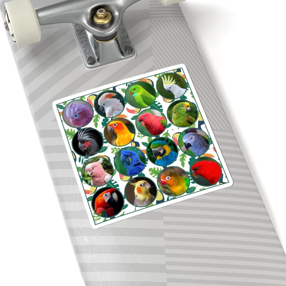 Vibrant Parrot Kiss-Cut Stickers for Bird Lovers