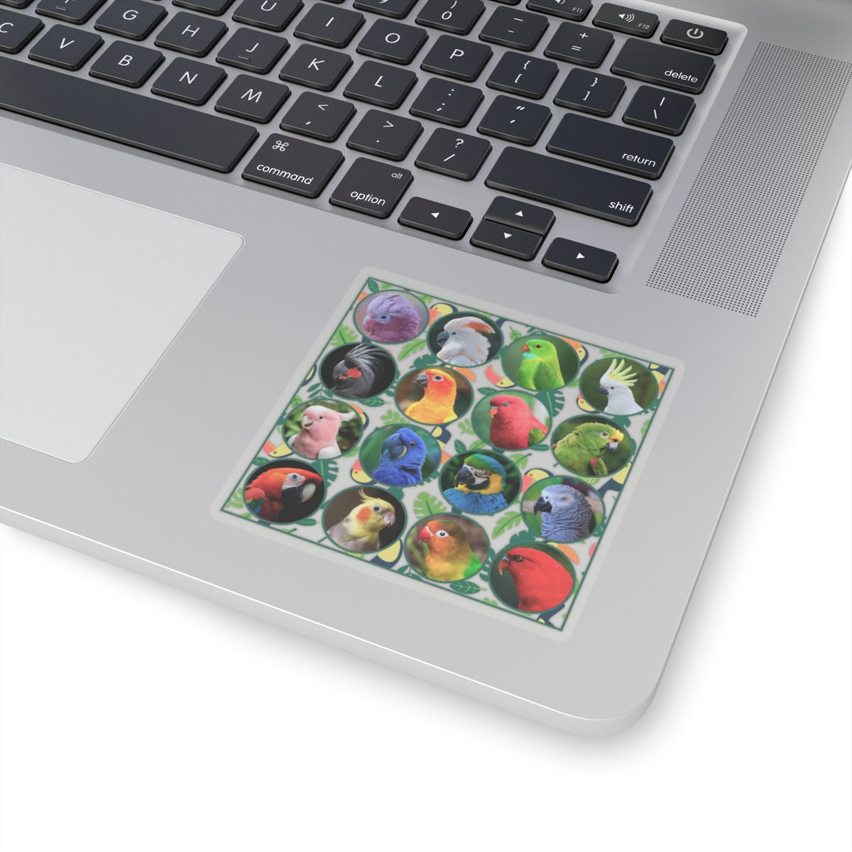 Vibrant Parrot Kiss-Cut Stickers for Bird Lovers