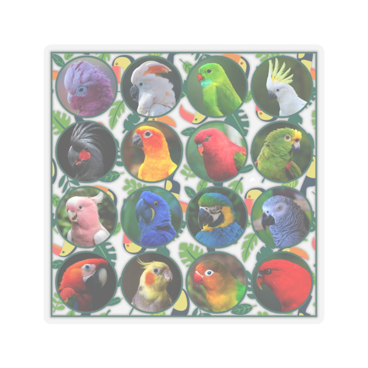 Vibrant Parrot Kiss-Cut Stickers for Bird Lovers