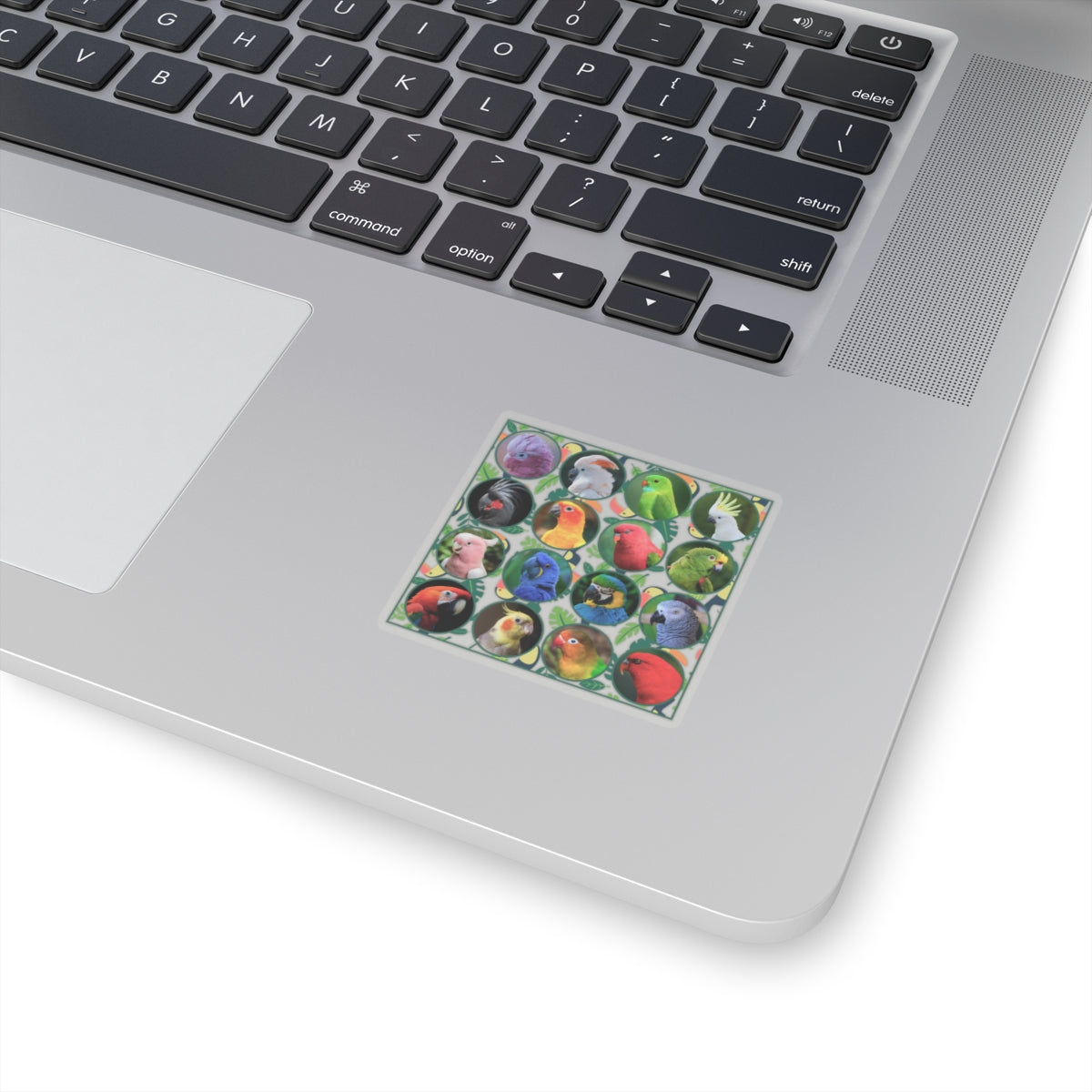 Vibrant Parrot Kiss-Cut Stickers for Bird Lovers