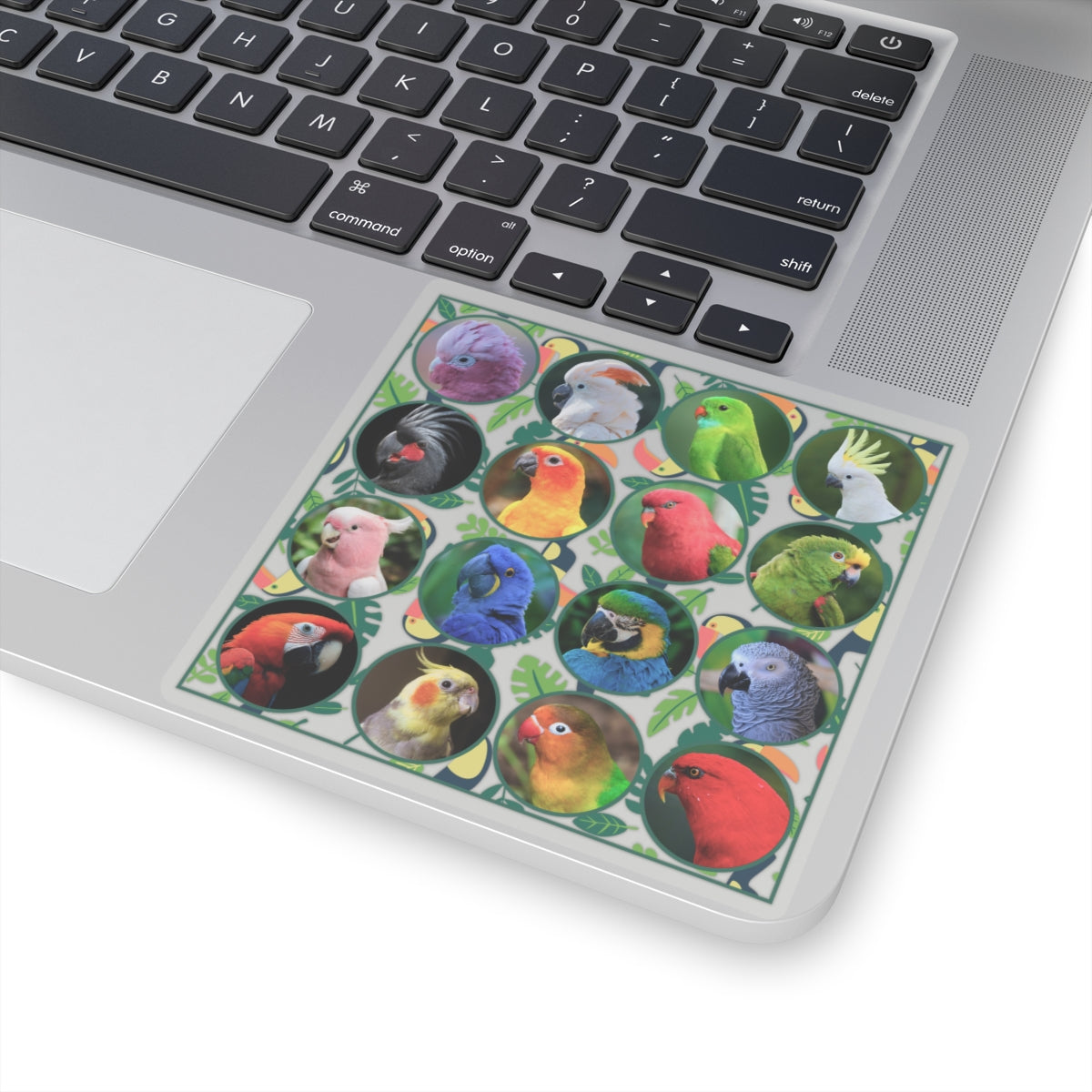 Vibrant Parrot Kiss-Cut Stickers for Bird Lovers