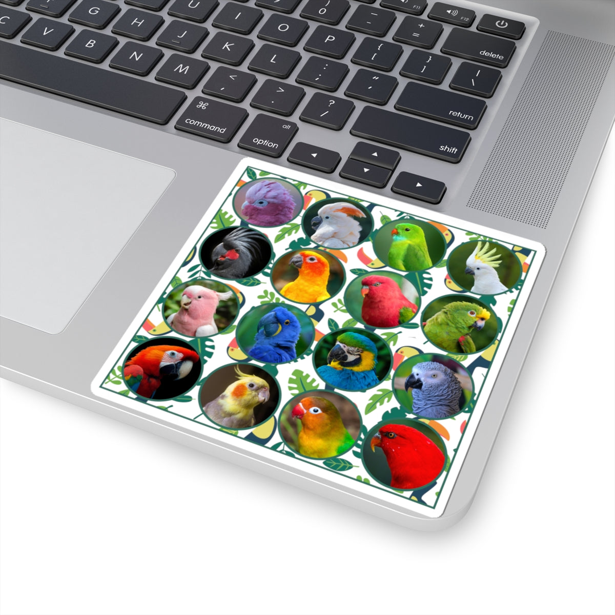 Vibrant Parrot Kiss-Cut Stickers for Bird Lovers