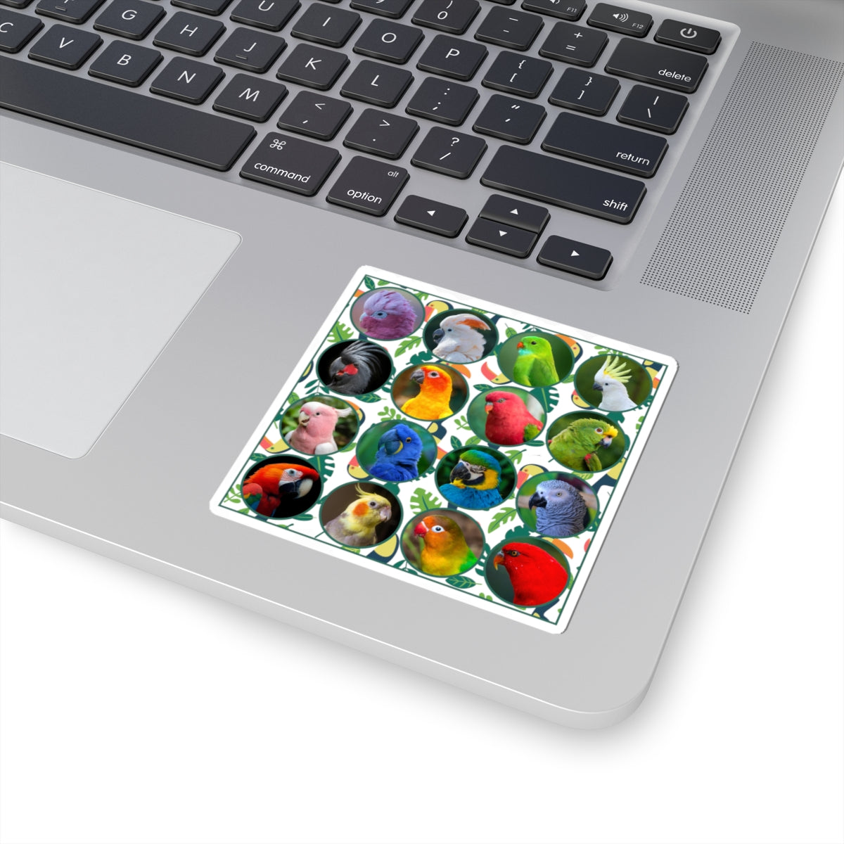 Vibrant Parrot Kiss-Cut Stickers for Bird Lovers