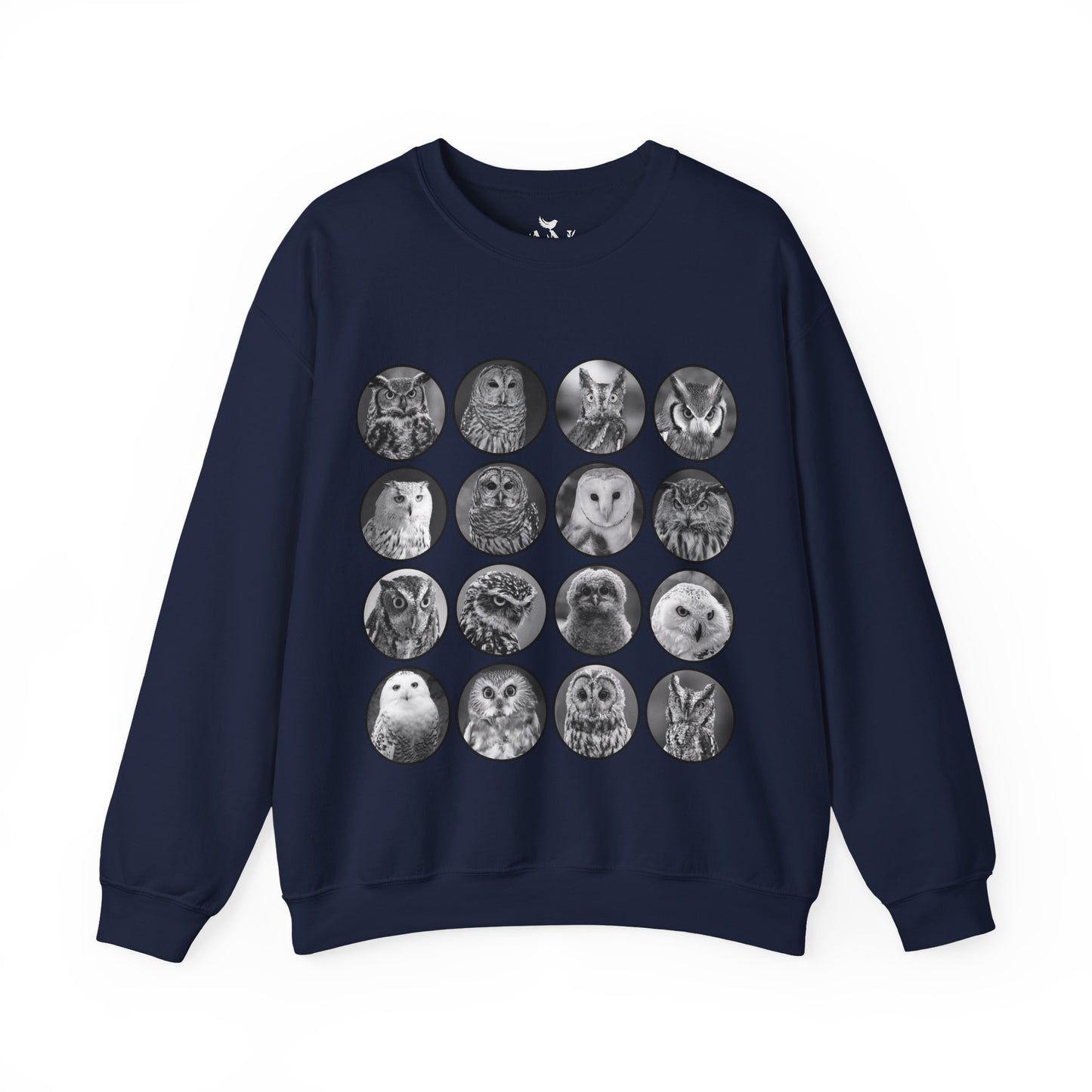 Cozy Owl Lovers Sweatshirt